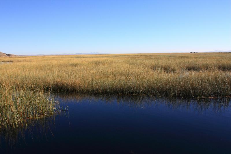 720-Puno,lago Titicaca,13 luglio 2013.JPG